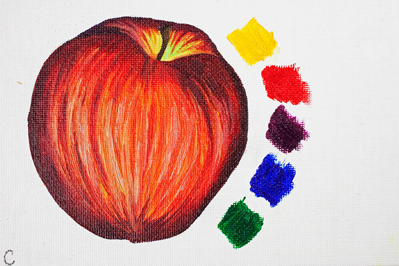 Apple painted using Cobra Artists Water Mixable Oil Paint