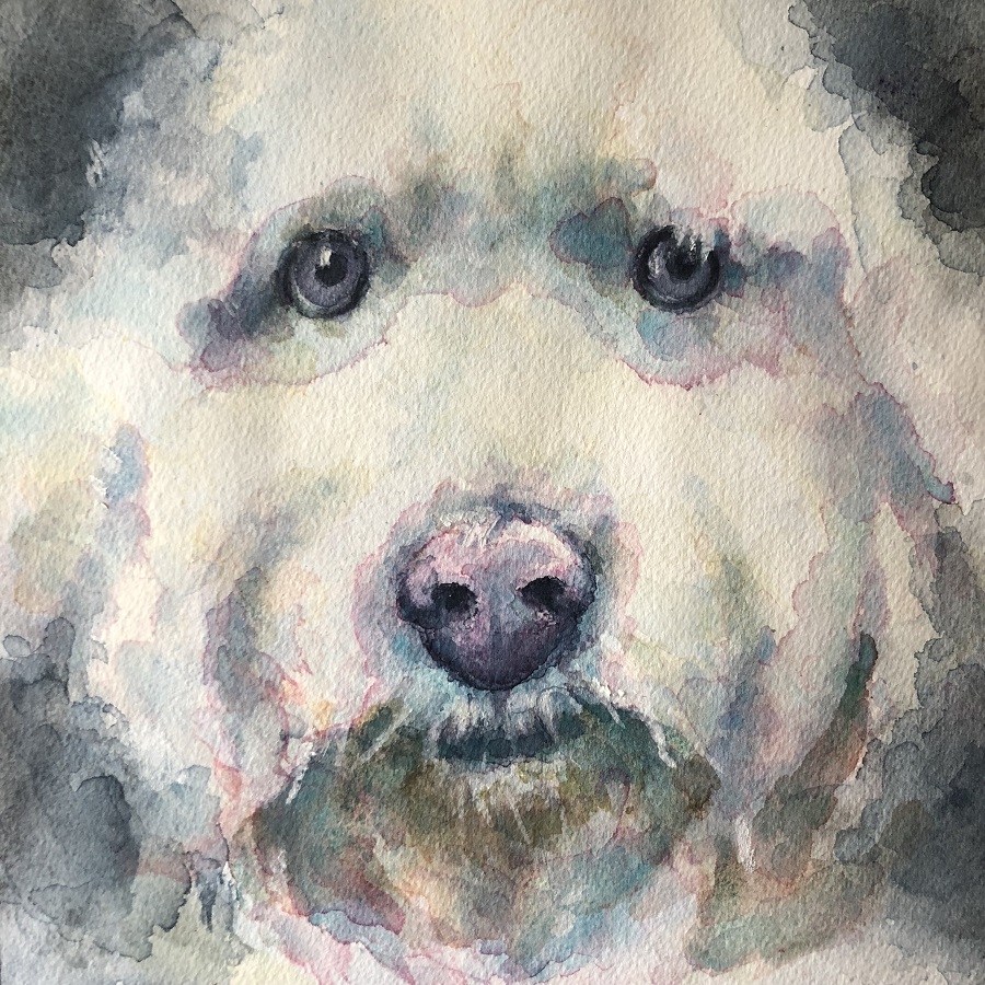 Tutorial: How to Paint a Dog Portrait in Watercolour