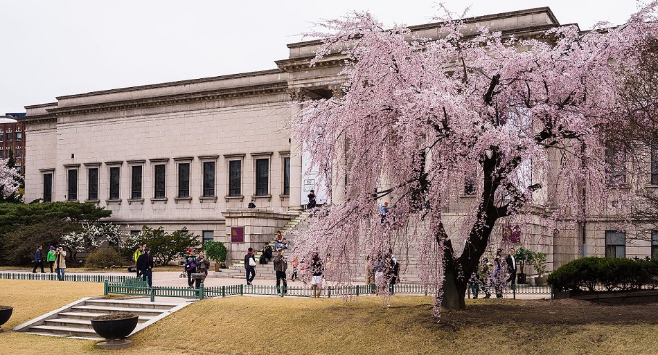 Virtual Tours: 13 Art Museums You Can Visit From Your Sofa! - Ken