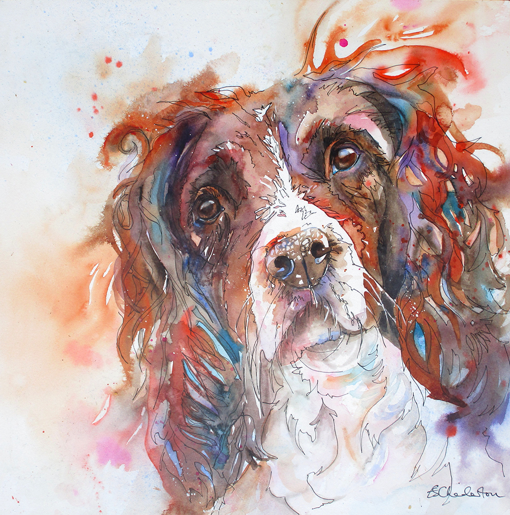 Portrait of a dog using a line and wash technique by artist Liz Chaderton