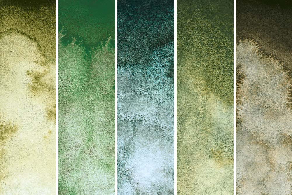 Schmincke Horadam Aquarell Super Granulating Watercolour Paints 5 Forest Colours. From left to right - Forest Olive, Forest Green, Forest Blue, Forest Brown and Forest Grey