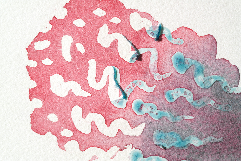 Masking fluid partially removed from a wash of crimson and turquoise.