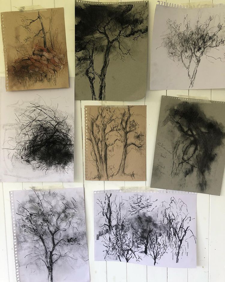 A selection of Joanna Farrow drawings made using Lyra Rembrandt Pencil Sets