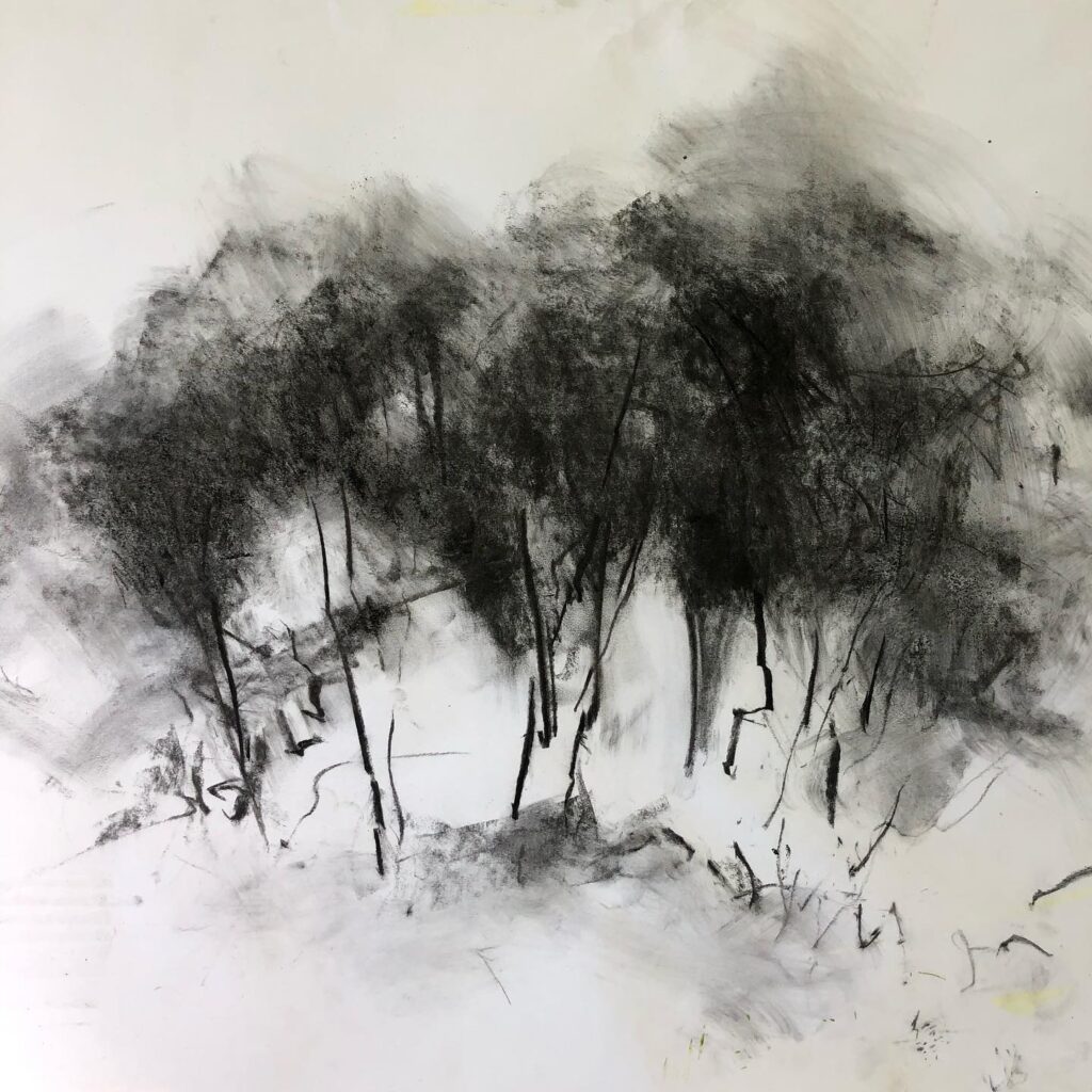 Drawing by Joanna Farrow of a tree clump