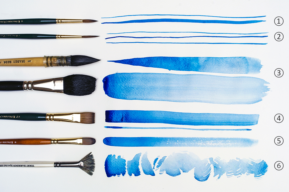 Assorted artists watercolour brushes in different sizes: round, rigger, quill, mop, flat, filbert and fan.