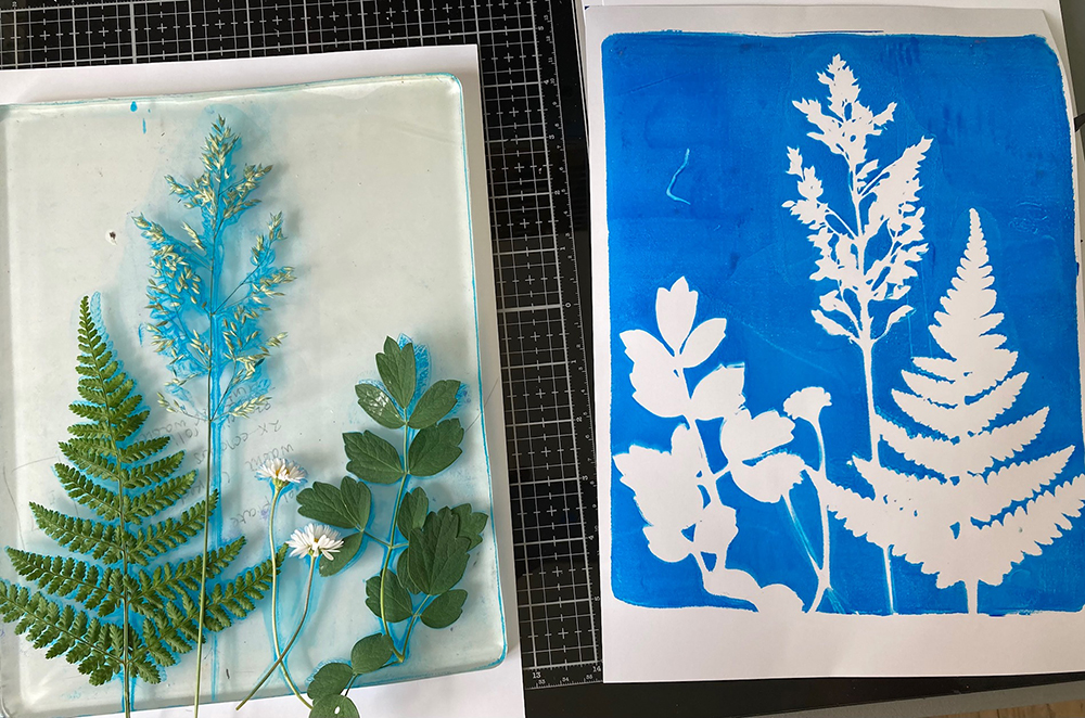 Create Your Own Cyanotype Print