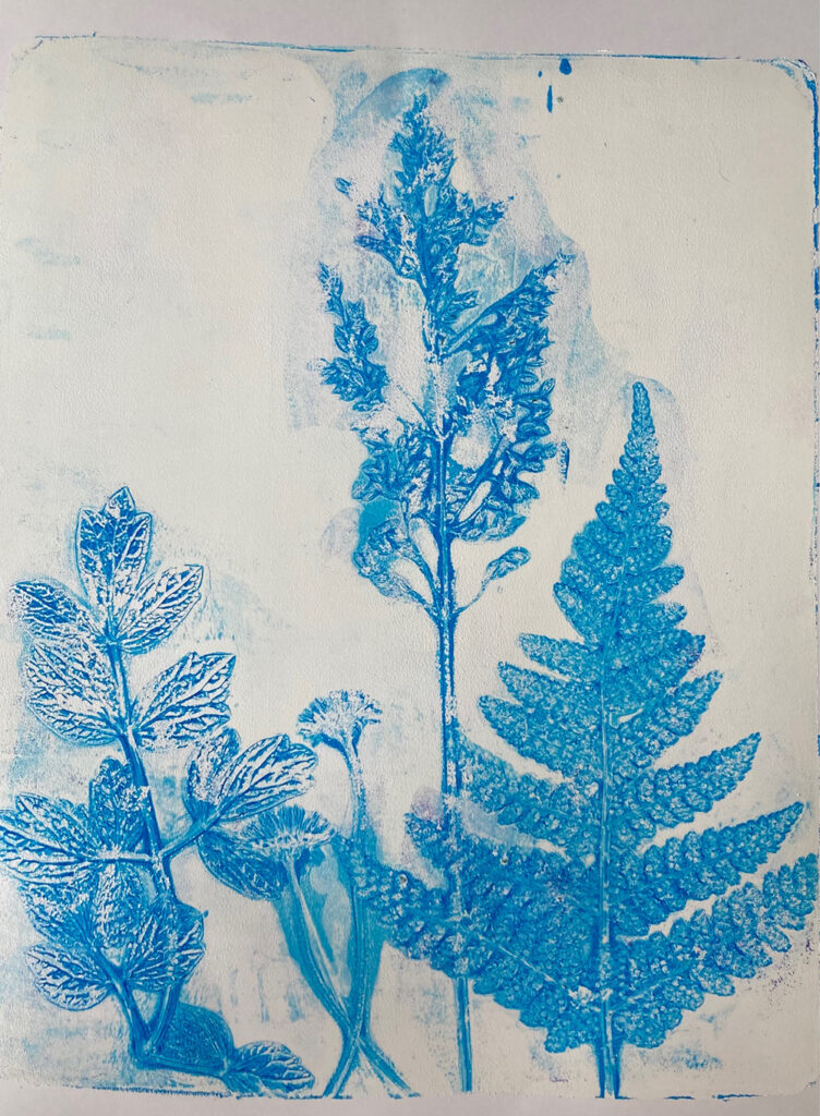 Cyanotype Ideas - Cyanotype UK