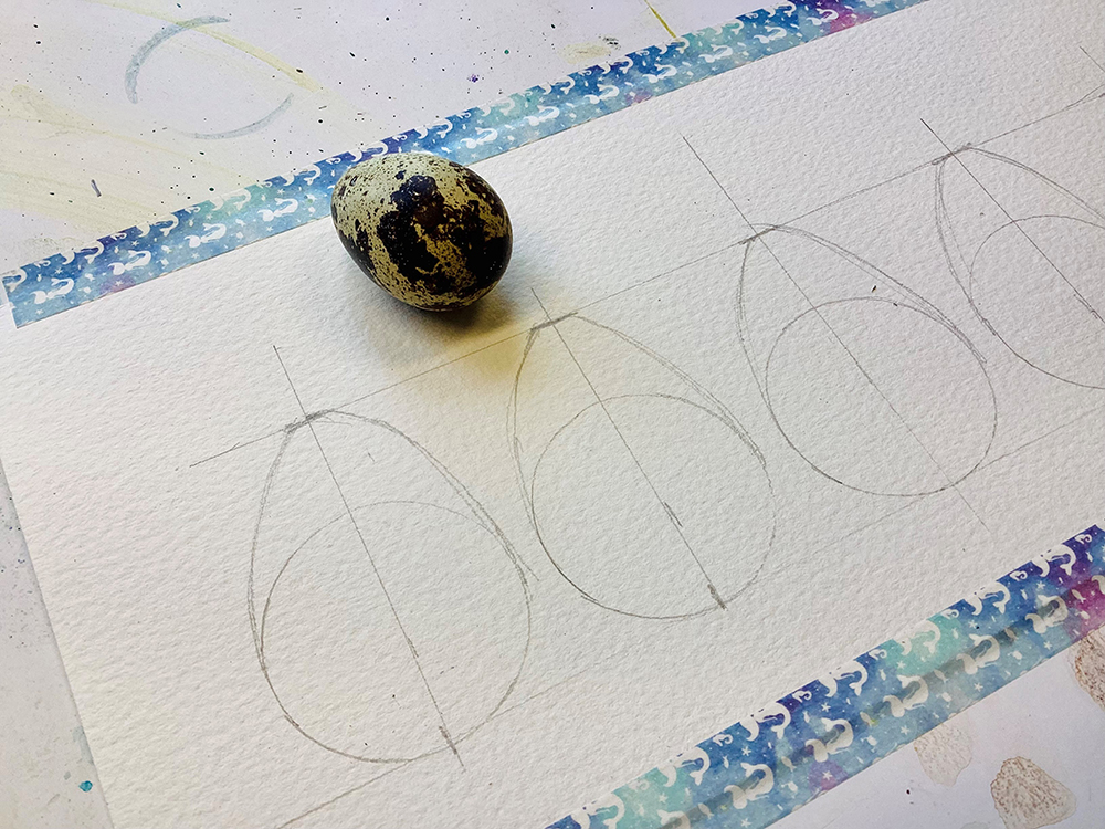 Image of sketch drawing out the proportions of the egg