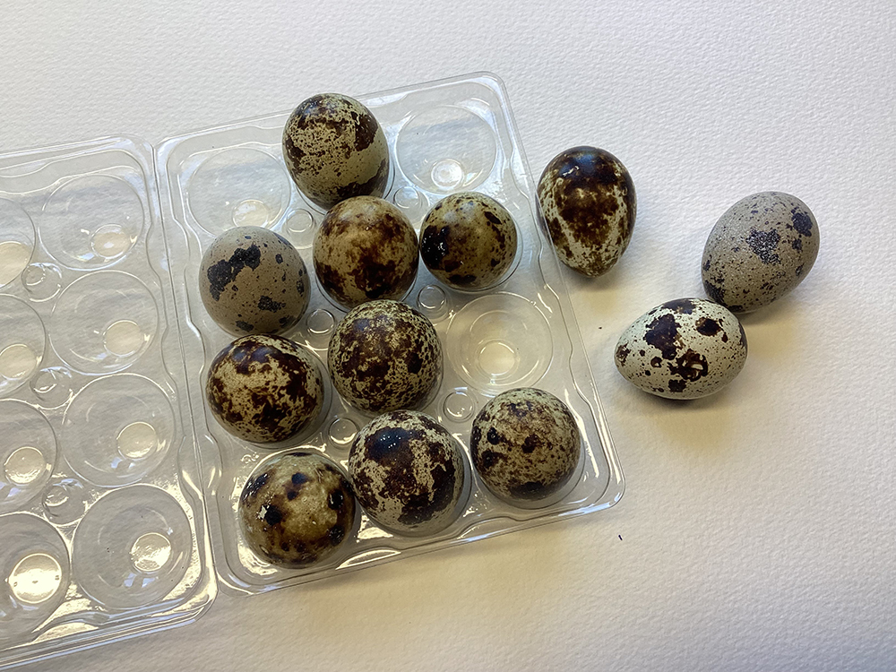 A photo of some shop bought quail eggs