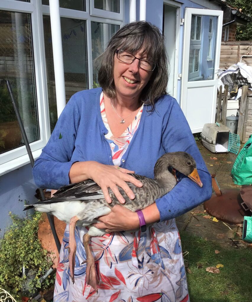 Image of Liz Chaderton with Gertie the goose