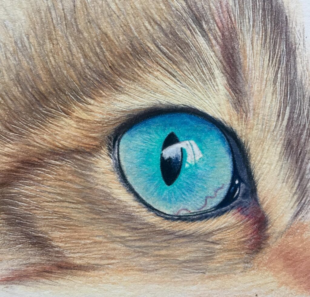 Step 8 - Cats Eye Tutorial