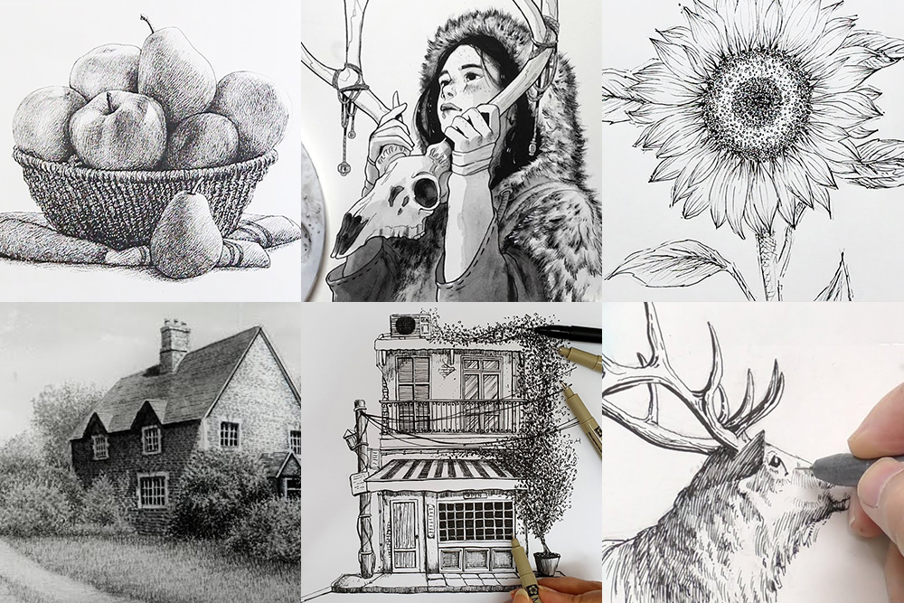 Pen & Ink Drawing Ideas - 24 Curated Video Tutorials and Demonstrations