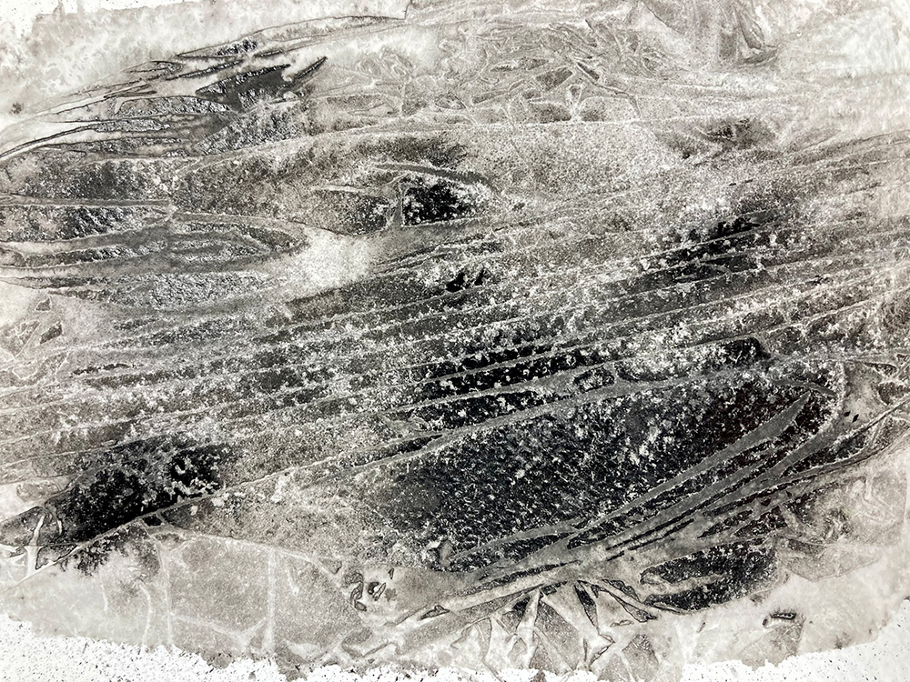 Image showing effects of stretching cling-film over wet Indian Ink