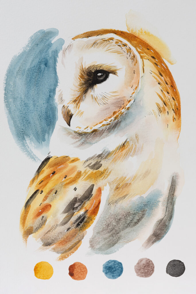 Painting of a barn owl using Schmincke Hordam Naturals Watercolour Paint