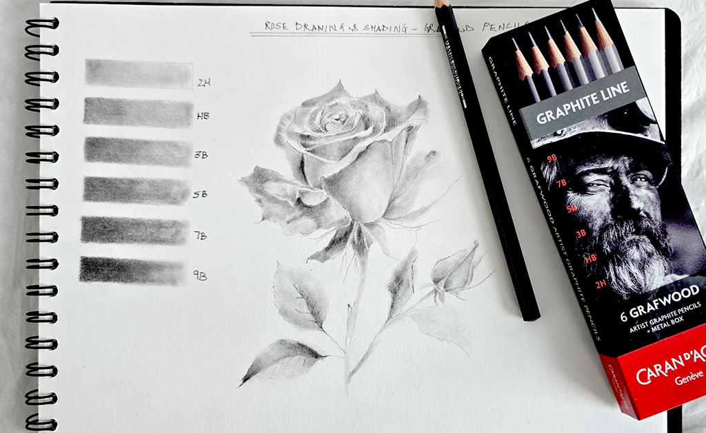 Step-by-Step Guide: Drawing and Shading a Rose with Graphite Pencils by Caran d’Ache