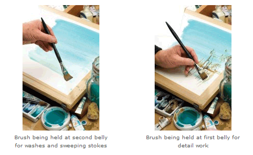 To create washes and strokes, hold the brush at the second belly. Hold at the first belly for detailed work