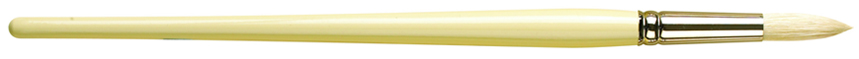 Pro Arte Series B Hog Round Oil Acrylic Brush