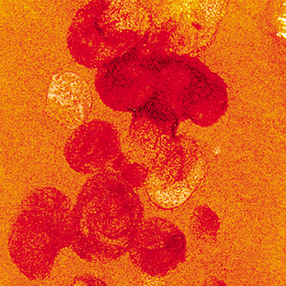 Watercolour Texture Medium