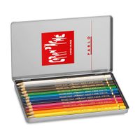 Caran D'Ache Pablo Coloured Pencils