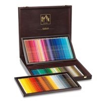 Caran D'Ache Pablo Wooden Box Set 120 Assorted Colours