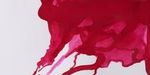 Winsor & Newton Drawing Inks 14ml Bottles Crimson
