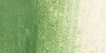 Caran d’Ache Neocolor II Aquarelle Watersoluble Wax Pastels Chromium Oxide Green