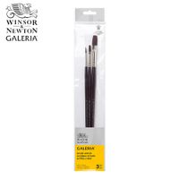 Winsor & Newton Galeria Long Handle Brushes Set of 3
