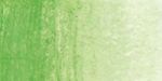 Caran d’Ache Neocolor II Aquarelle Watersoluble Wax Pastels Bright Green