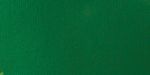 Liquitex Basics Fluid Acrylic Paints 118ml Hookers Green Permanent