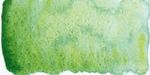 Schmincke Horadam Super Granulating Watercolours 15ml Tube Shire Green