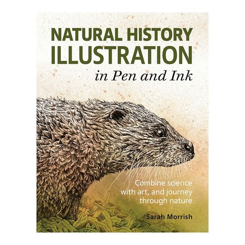 Image of Natural History Illustration in Pen and Ink by Sarah Morrish