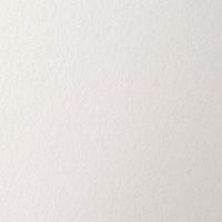Canaletto Paper