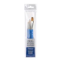 Winsor & Newton Cotman Brush Set (5 Brushes) Version 2