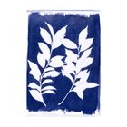 Thumbnail 6 of Jacquard Cyanotype Fabric Sheets