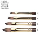 Thumbnail 1 of Winsor & Newton Monarch Short Filbert Brush