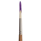 Thumbnail 2 of Winsor & Newton Artists' Oil Synthetic Hog Round Brush