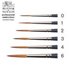 Thumbnail 1 of Winsor & Newton Professional Watercolour Synthetic Sable Rigger Brush