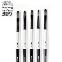 Winsor & Newton Artists' Acrylic Brush Set